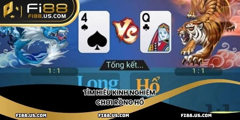 Tìm hiểu kinh nghiệm chơi rồng hổ